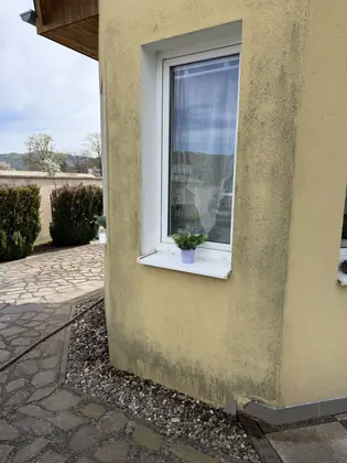 Roh fasády se zeleným povlakem před čištěním