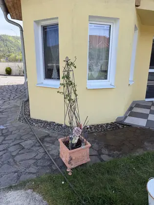 Vyčištěná fasáda po tlakovém mytí